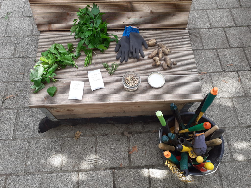 Ansammlung von Gartenutensielien wie z. B. ein Eimer mit Geräten und Handschuhe, aber auch Kräuter und Samen liegen auf einer Bank