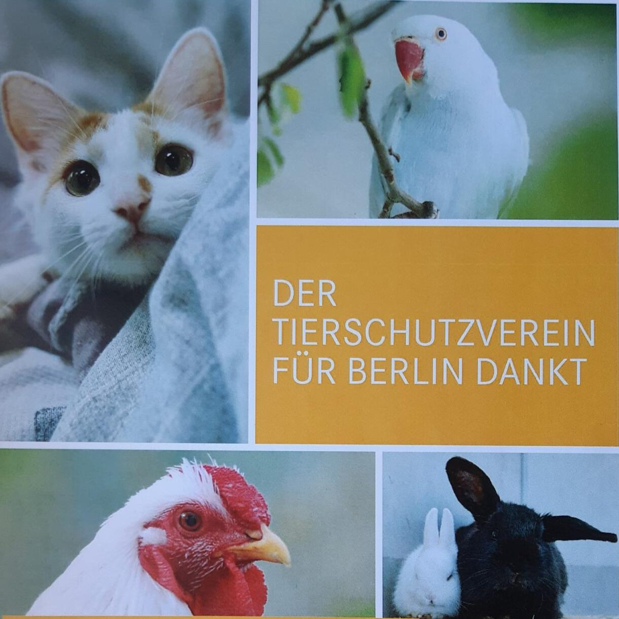 Der Tierschutzverein für Berlin Dankt