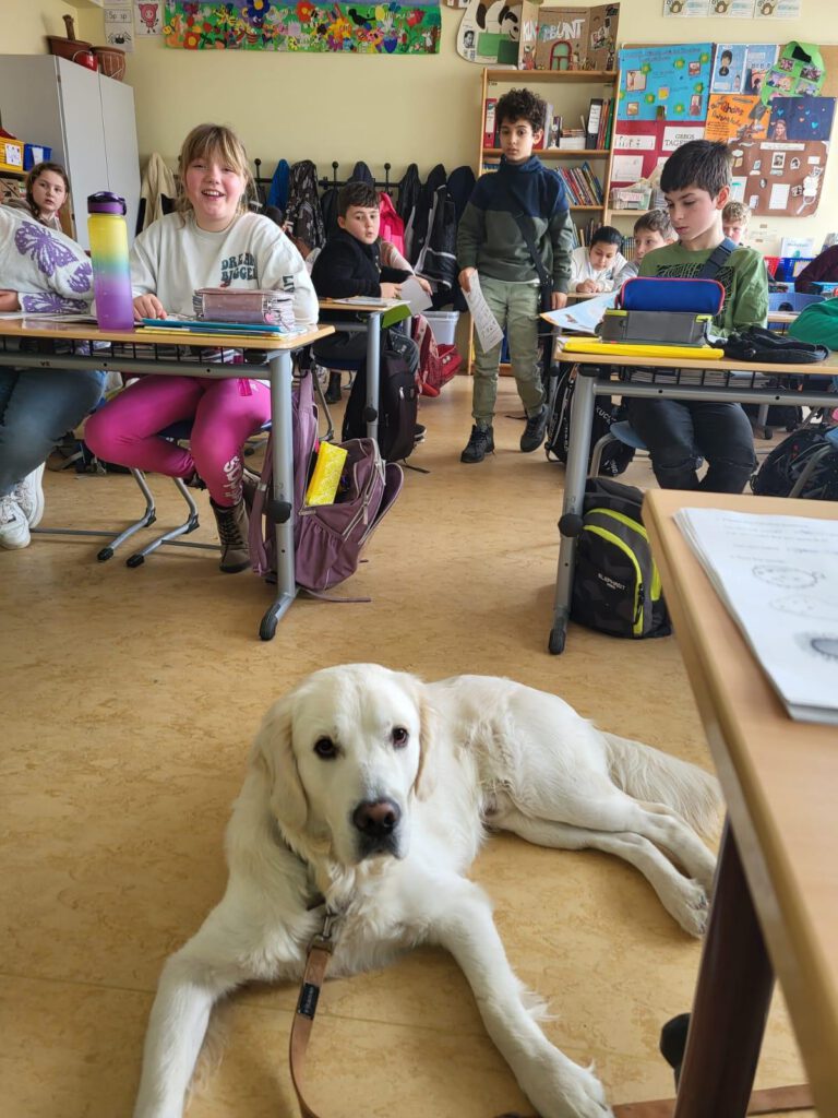 Klasse mit Hund