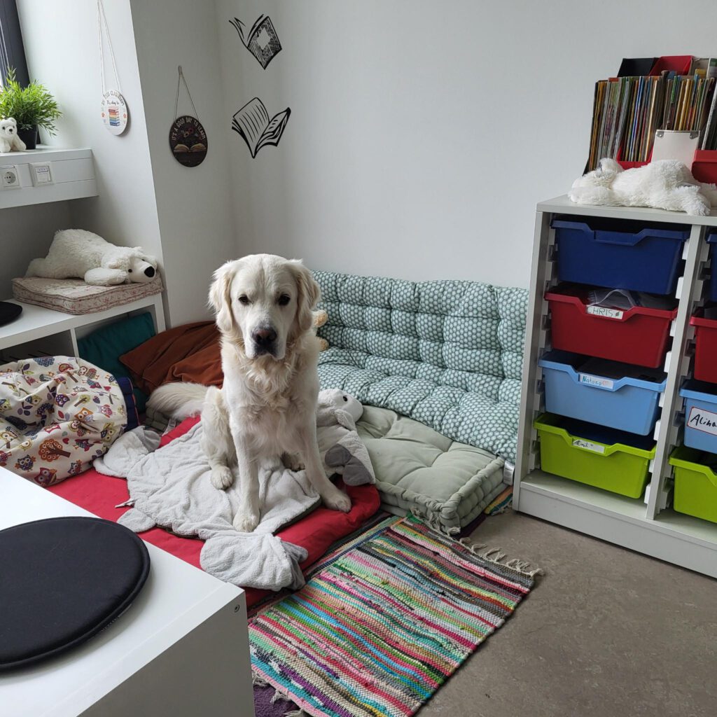 Schulhund Benni