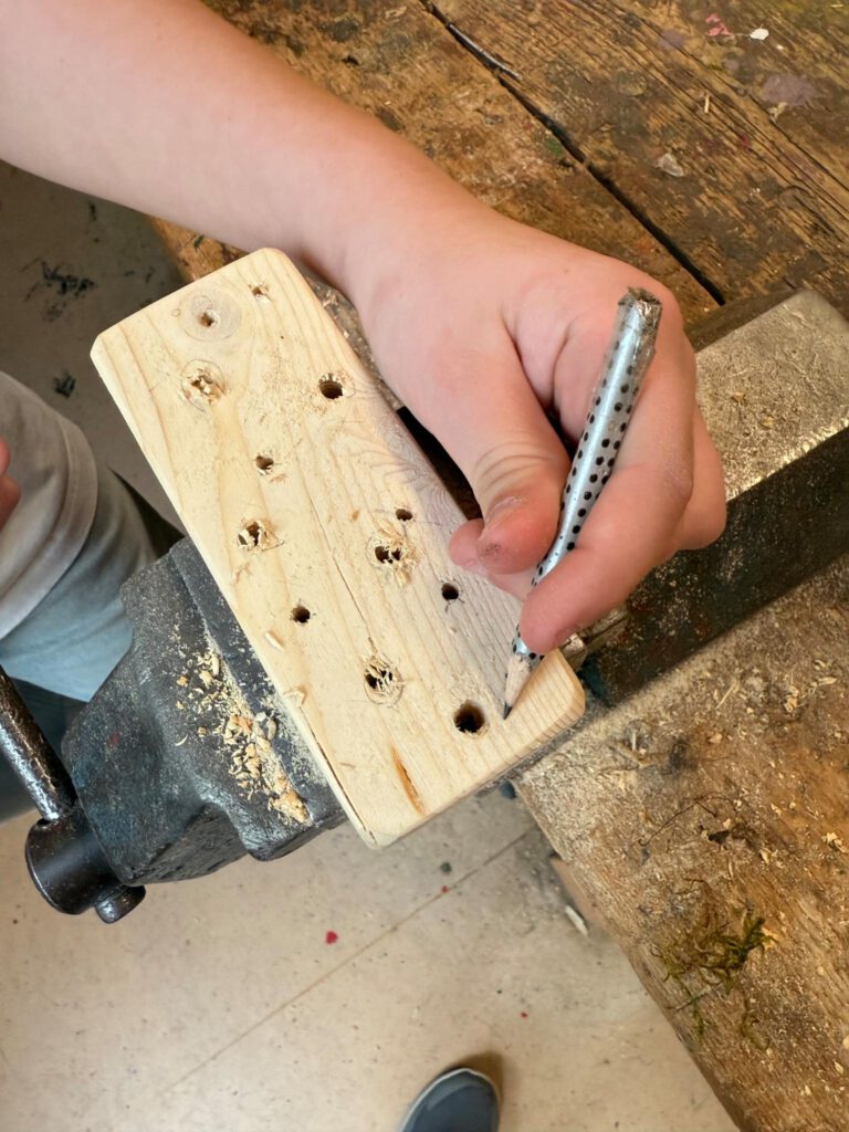Holz mit Löchern