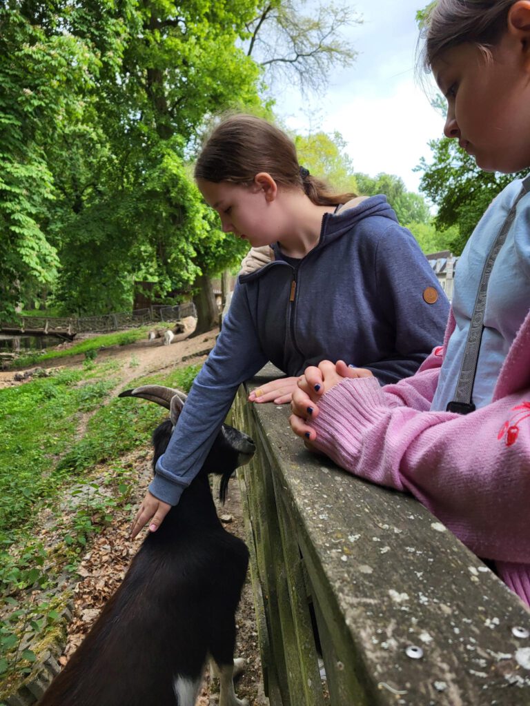 Zwei Kinder streicheln Ziegen