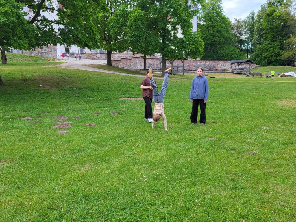 Spielwiese mit Kindern