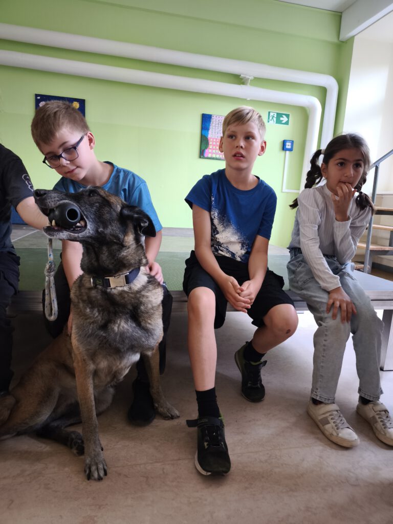 Kinder mit Schäferhund
