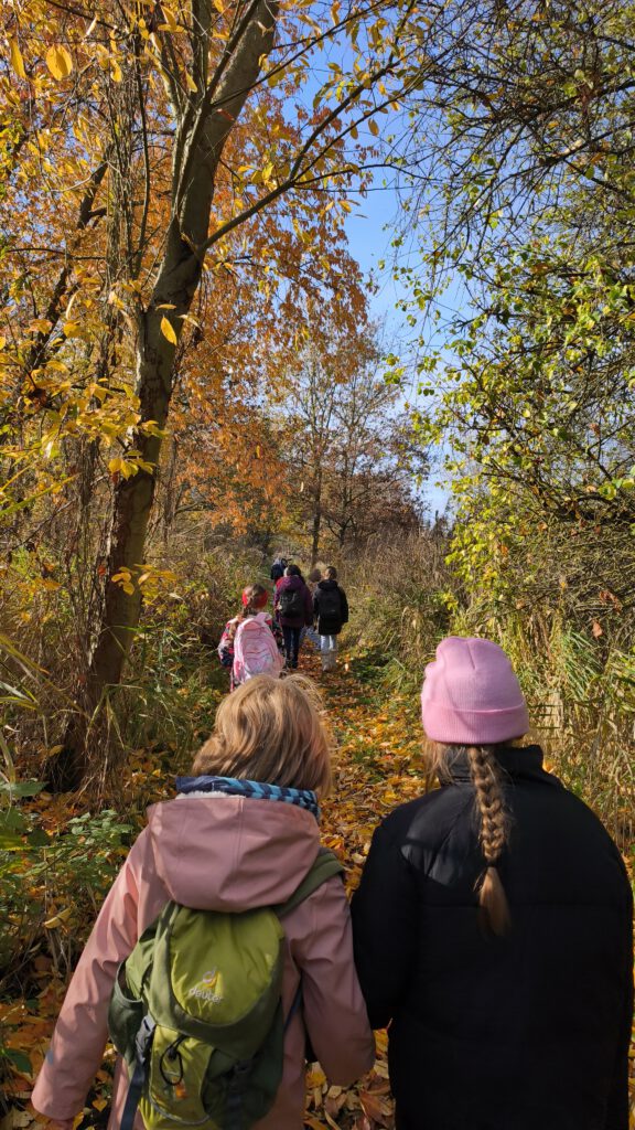 Kinder gehen im Wald spazieren