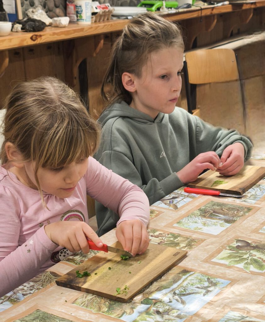 Kinder schneiden Kräuter