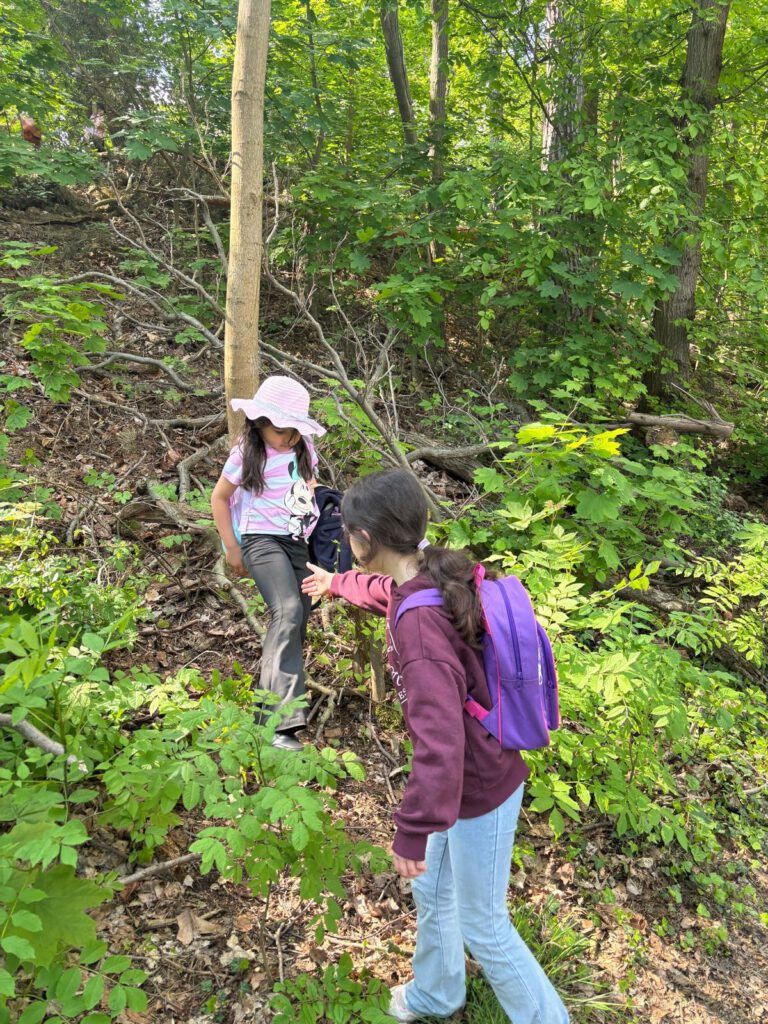 Kinder im Wald